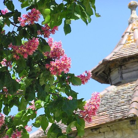 Domaine De L'Isle Basse Bed and Breakfast Fontanes  Εξωτερικό φωτογραφία