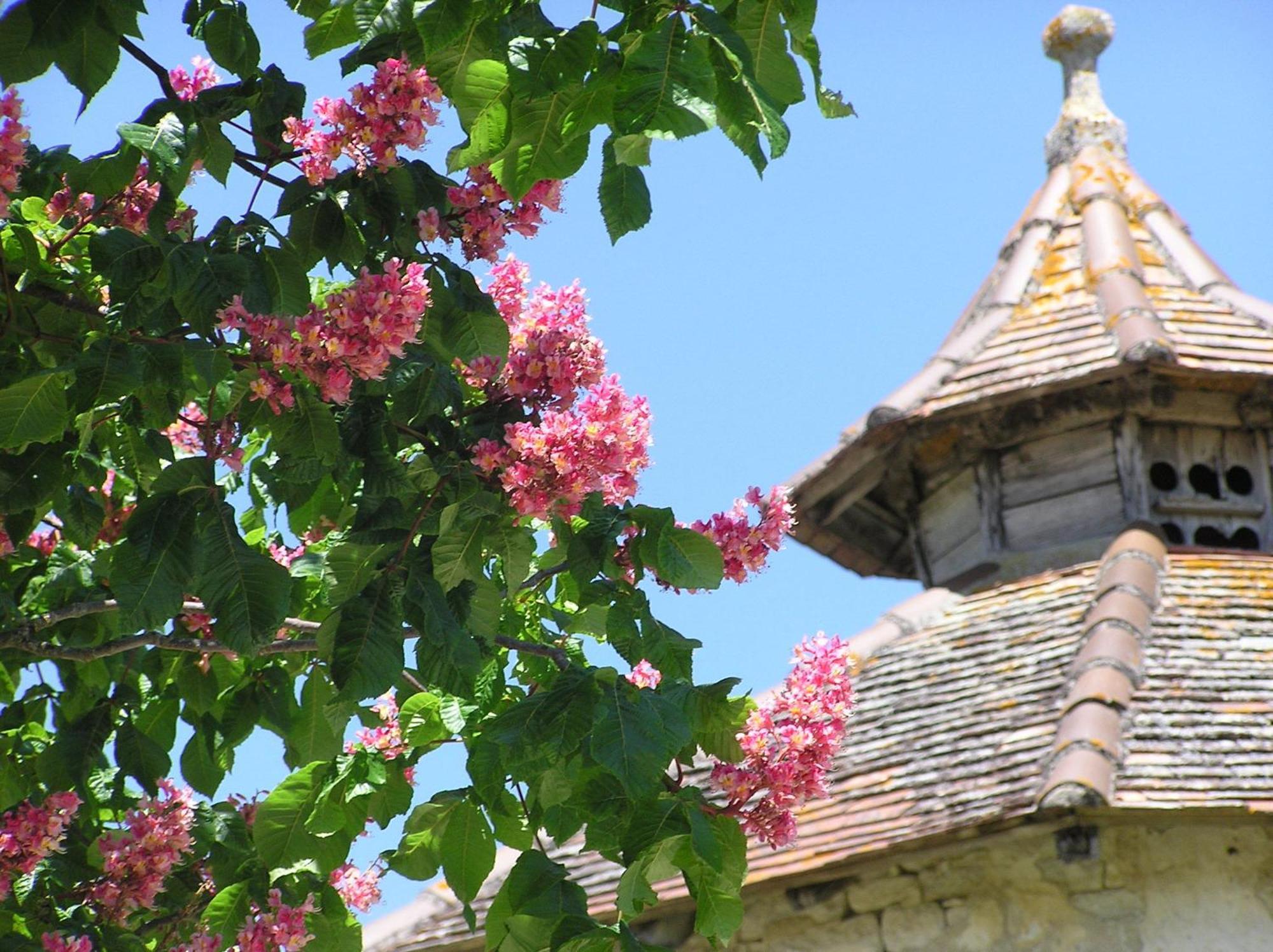 Domaine De L'Isle Basse Bed and Breakfast Fontanes  Εξωτερικό φωτογραφία